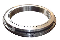 Slewing Ring Bearing